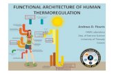 FUNCTIONAL ARCHITECTURE OF HUMAN THERMOREGULATION€¦ · major role in behavioral thermoregulation The cerebral neural pathways important for behavioural thermoregulationhave little