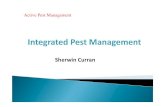 Integrated Pest Management 2016.ppt...Active Pest Management Quality Policy Active Pest Management has a mission to meet and exceed its customer’s expectationsand become preferred