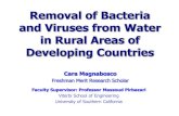 Removal of Bacteria and Viruses from the Water of Rural ... · Advantages and Disadvantages Advantages Disadvantages •Microbial inactivation by pasteurization •Simple to use •Low