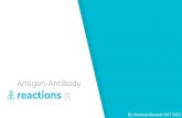 Antigen-Antibody reactions (1) - KSUfac.ksu.edu.sa/sites/default/files/antigen_antibody_reactions_part1... · Paratope: also called an (antigen-binding site), is a part of an antibody