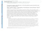 LSHTM Research Onlineresearchonline.lshtm.ac.uk/2531294/1/Predicted-global... · 2020. 2. 15. · Predicted global distribution of Burkholderia pseudomallei and burden of melioidosis