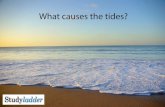 What causes the tides? - Studyladder...Spring Tides Imagine you are above the North Pole, looking down at the Earth (as in the diagram above.) When the Earth and the Moon line up with