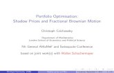 Portfolio Optimisation: Shadow Prices and Fractional ... · 7th General AMaMeF and Swissquote Conference based on joint work(s) withWalter Schachermayer Christoph Czichowsky (LSE)