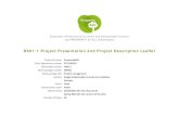 P4A-D501.1-Project Presentation and Project Description ... · D501.1 Project Presentation and Project Description Leaflet Project Acronym Prosperity4All Grant Agreement number FP7‐610510