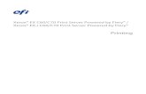 Xerox® EX C60/C70 Print Server Powered by Fiery® / Xerox® EX-i …swdownload.efi.com/.../9432346727/7870409808/Printing.pdf · 2014. 8. 29. · Introduction Printing describes