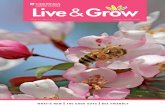 Live Grow - Oderings Garden Centres · 3 4 Petunias 5 blueberries 6 DiGGinG in WitH Daniel 8 tHe GooD Guys 9 GiftWare 10 WHat’s neW 14 bee frienDly GarDens 15 GroW tHe best annuals