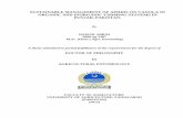 SUSTAINABLE MANAGEMENT OF APHIDS ON …prr.hec.gov.pk/jspui/bitstream/123456789/241/1/1753S.pdfSUSTAINABLE MANAGEMENT OF APHIDS ON CANOLA IN ORGANIC AND INORGANIC FARMING SYSTEMS IN