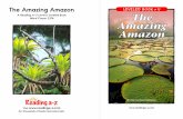 A Reading A–Z Level U Leveled Book Word Count: 2,176 Amazing …4lecours.weebly.com/uploads/1/3/7/2/13722691/u-_amazing... · 2019. 9. 5. · The Amazing Amazon A Reading A–Z