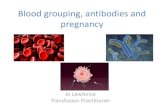 Blood grouping, antibodies and pregnancy - …...Exchange Transfusion An exchange transfusion, also known as exsanguination transfusion, replacement transfusion or substitution transfusion,