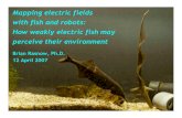 Mapping electric fields with fish and robots: How weakly electric … · 2019. 8. 7. · Model systems Electric fish are model systems for sensorimotor integration Sensory receptors
