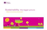 Sustainability: the bigger picturemyra/leadership_sustainability/day1.pdfThe Big Picture • Good news • Bad news • Climate change 3. Sustainability • Definitions • The 3 pillars