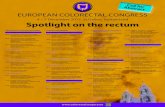 4 – 7 December 2017, St.Gallen, Switzerland Spotlight on the … · 2019. 3. 29. · Julie Cornish, Glamorgan, UK Lunch Colorectal cancer treatment and sexuality Yacov Reisman,