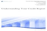 Understanding Your Credit Report - Schneider …...Understanding Your Credit Report February 28, 2017 Your credit report contains information about your past and present credit transactions.