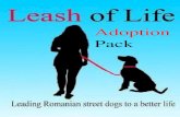 Adoption Pack - Leash of Life · Your adopted dog is a rescue dog and for most of the dogs coming from the shelter in ... Dogs put up for adoption have been assessed by the people