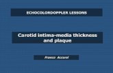 Presentazione di PowerPoint - EchoDoppler Lessons · 2016. 11. 19. · 2. MEDIA: fibroblasts and smooth muscle with collagen support and elastic tissue 1. INTIMA: a single endothelial