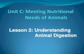 Lesson 2: Understanding Animal Digestion...Understanding the chemical and physical changes that occur during the digestion process leads to more efficient livestock feeding. 4 Digestion