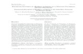 Anatomical Description of Bradypus variegatus in the Colombian …ve.scielo.org/pdf/rfcv/v57n1/art01.pdf · 2018. 3. 21. · María A. Montilla-Rodríguez*,1, Julio C. Blanco-Rodríguez**,