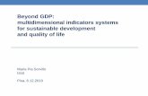 Beyond GDP: multidimensional indicators systems for sustainable development …sampieuchair.ec.unipi.it/.../2019/12/1-SDGs-JM2019.pdf · 2019. 12. 9. · Not only GDP ^The welfare