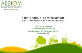 The Enplus certification - BIOGRACE · 2012. 12. 10. · The Enplus certification GHG calculation for wood pellets Cristina Calderon calderon@aebiom.org Heidelberg, 23 October 2012
