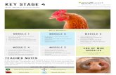 KEY STAGE 4...Exploring animal welfare END OF MINI MODULES Download certificate of completion. Each mini module has direct Key Stage 4 National Curriculum links to the Biology, Geography
