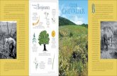 Treatments Club Farming Chevalier - Kermit Lynch · biodynamic farming is essential to avoid noIa dbdrcnnisuffocation of the root system and a blocking of maturation, and equally