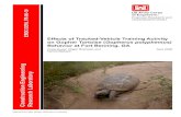 ERDC/CERL TR-06-10, Effects of Tracked-Vehicle Training ... · ERDC/CERL TR-06-10 Effects of Tracked-Vehicle Training Activity on Gopher Tortoise (Gopherus polyphemus) Behavior at
