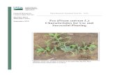 Peas (Pisum sativum L.) Characteristics for Use and ......• Field peas, dry peas, or Austrian winter peas (P. sativum var. arvense (L.) Poir. - used for livestock feed (dry seeds