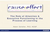 The Role of Attention & Executive Functioning In the ... · • Thorell L B, Lindqvist S, Bergman S, Bohlin G, Klingberg T (2009). Training and transfer effects of executive functions