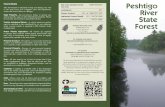 Peshtigo River State Forest Brochurednr.wi.gov/topic/StateForests/peshtigoRiver/documents/... · 2015. 4. 2. · The 7-mile Spring Rapids Trail System is 5 miles west of Crivitz,