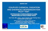 COUPLED CHEMICAL OXIDATION AND ENHANCED … · 2016. 1. 22. · 3Stantec Consulting, Calgary, Alberta, Canada 4Sequoia Environmental Remediation Inc., Calgary, Alberta, Canada REMTEC