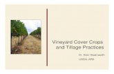 Vineyard Cover Crops and Tillage Practices · • Best understood • Most easily . controlled . and . measured . by growers • More fuel = more GHG emissions – gal. diesel = 12
