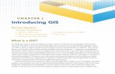 CHAPTER 1 Introducing GIS · 2016. 2. 23. · GIS staff to maintain data and create insightful map products. GIS has many facets. It captures, stores, and manages data. It allows
