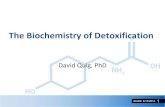 Biochemistry of Detoxification ACAM 4/12 · 2018. 4. 3. · Xenobiotic Activated Xenobiotic Hg, Pb, Cd, As, Co, X Cr6, glyphosate, O-antigen (K ... 12. ACAM 6/10/2014 Further Metabolism