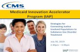 Medicaid Innovation Accelerator Program (IAP) · 2019. 7. 30. · National Center on Addiction and Substance Use. (2010). Behind bars II: Substance abuse and America’s prison population.