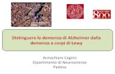 Distinguere la demenza di Alzheimer dalla demenza a corpi di Lewy · 2019. 10. 29. · Transient episodes of unconsiousness added among suggestive features Polysomnography added as