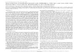Superinfection of Epithelial Hybrid Cells (D98/HR-1, NPC-KT ......[CANCER RESEARCH 46, 2541-2544, May 1986] Superinfection of Epithelial Hybrid Cells (D98/HR-1, NPC-KT, and A2L/AH)