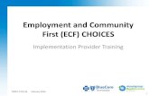Employment and Community First (ECF) CHOICESbluecare.bcbst.com/forms/Provider Information/ECF_CHOICES...• ECF CHOICES: Employment and Community First CHOICES • HCBS: Home- and