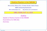 AMS, CERN, Oct. 11, 2002 Outlinedeboer/html/Talks/talk_amsoct02.pdfAMS, CERN, Oct. 11, 2002 Outline Update on Positron fraction in the CMSSM Expectations for AMS data Summary Wim de