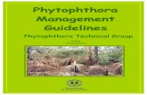 Phytophthora Technical Group · 6. Management of Phytophthora 11 6.1 Vulnerable areas 11 - 6.1.1 Case Studies 13 6.2 Activities which are at risk of spreading Phytophthora 17 6.3