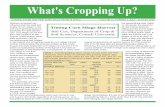 What's Cropping Up? · 2019. 10. 30. · What's Cropping Up? Vol. 18 No.4 Crop Management If you wish to use accumulated GDD after the tassel/silking date as a guide on when to begin