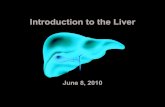 New Introduction to the Liver · 2016. 1. 29. · Liver embryology • Buds from ventral endoderm near heart and septum transversum • Hepatoblasts visible E9.5 • Septum transversum