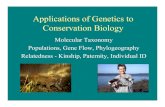 Applications of Genetics to Conservation Biology · 2003. 10. 13. · Conservation Conservation Biology Genetics • Population biology • Physiology • Island biogeography •