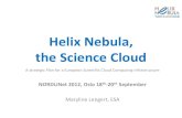 Helix Nebula, the Science Cloud€¦ · Strategic Goal Helix Nebula, the Science Cloud is a partnership that has been created to support the massive IT requirements of European scientists