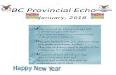 BC Provincial - BC Fraternal Order of Eagles Bulletin January... · Web viewFEB BRITISH COLUMBIA N R N R NG2 VAR % of NG2 10 ROSSLAND 7 9 16 14 2 114.29 12 VICTORIA 17 2 19 11 8 172.73