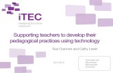 Supporting teachers to develop their pedagogical practices ... · a prototype and refine the design brief (collaboration tools, Prezi, Sketchup) Participatory Design Workshop ...