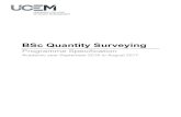 BSc Quantity Surveying - ucem.ac.uk · BSc (Hons) Quantity Surveying Programme Specification Page 3 of 23 ©UCEM 22/08/2016 v6.00 Programme Overview Rationale This programme provides