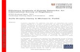 Efficiency Analysis of Energy Networks: An International ...€¦ · 2 Efficiency Analysis of Energy Networks: An International Survey of Regulators Abstract Incentive regulation