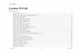 Luma Print - Idaho Print... · This process describes the procurement of goods and services related to their particular statutes.