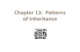 Chapter 13: Patterns of Inheritance - Weebly...Chapter 13: Patterns of Inheritance 1 2 Gregor Mendel (1822-1884) Between 1856 and 1863 28,000 pea plants Called the “Father of Genetics"