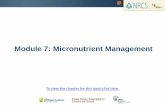 Module 7: Micronutrient Management · Module 7: Micronutrient Management. Introduction • Most important sources of micronutrients: o those naturally present in soil o impurities